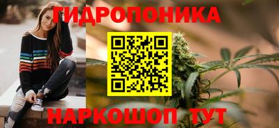 скорость Гусь-Хрустальный