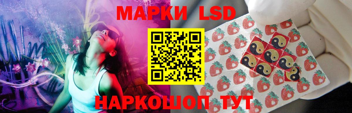Псилоцибиновые грибы Елизово