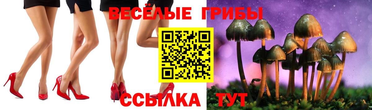 Елизово  Псилоцибиновые грибы Cubensis  Вход с VPN 